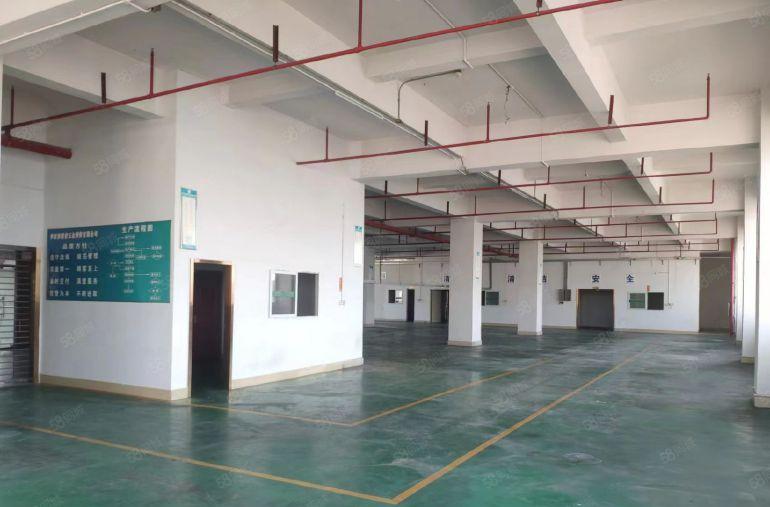 虎门大宁新空出三楼1500平办公室精装修带水电重工业厂房出租