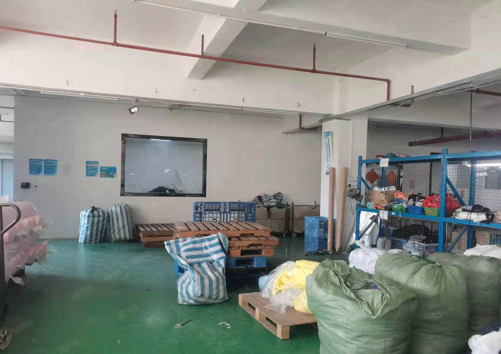 厂房出租虎门白沙空出楼上2000平（带装修）