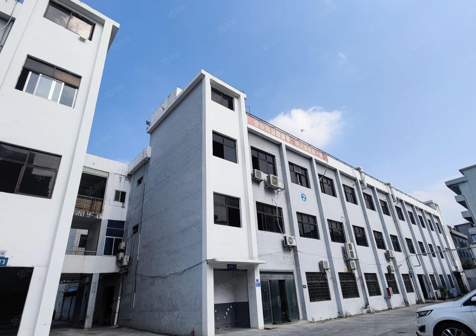 厂房出租！业主直租！户型方正，挑高5米，可进18米大货车！