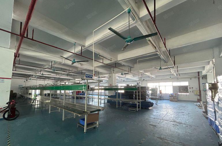 虎门楼上厂房带装修办公室流水车间隔好的办公室