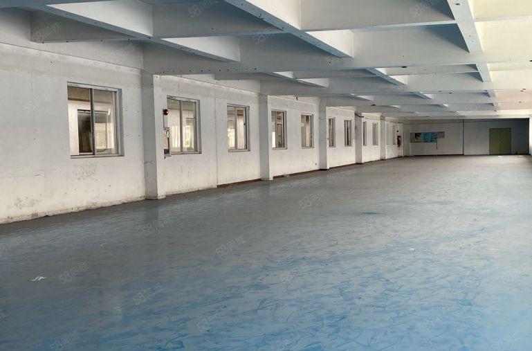 8块8超低价！虎门1000平米带装修厂房出租