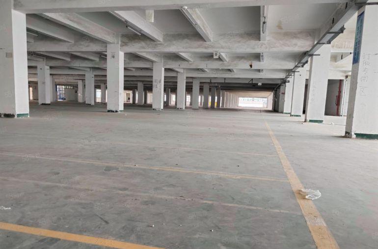 虎门独院厂房9.9元出租，空地大，交通好