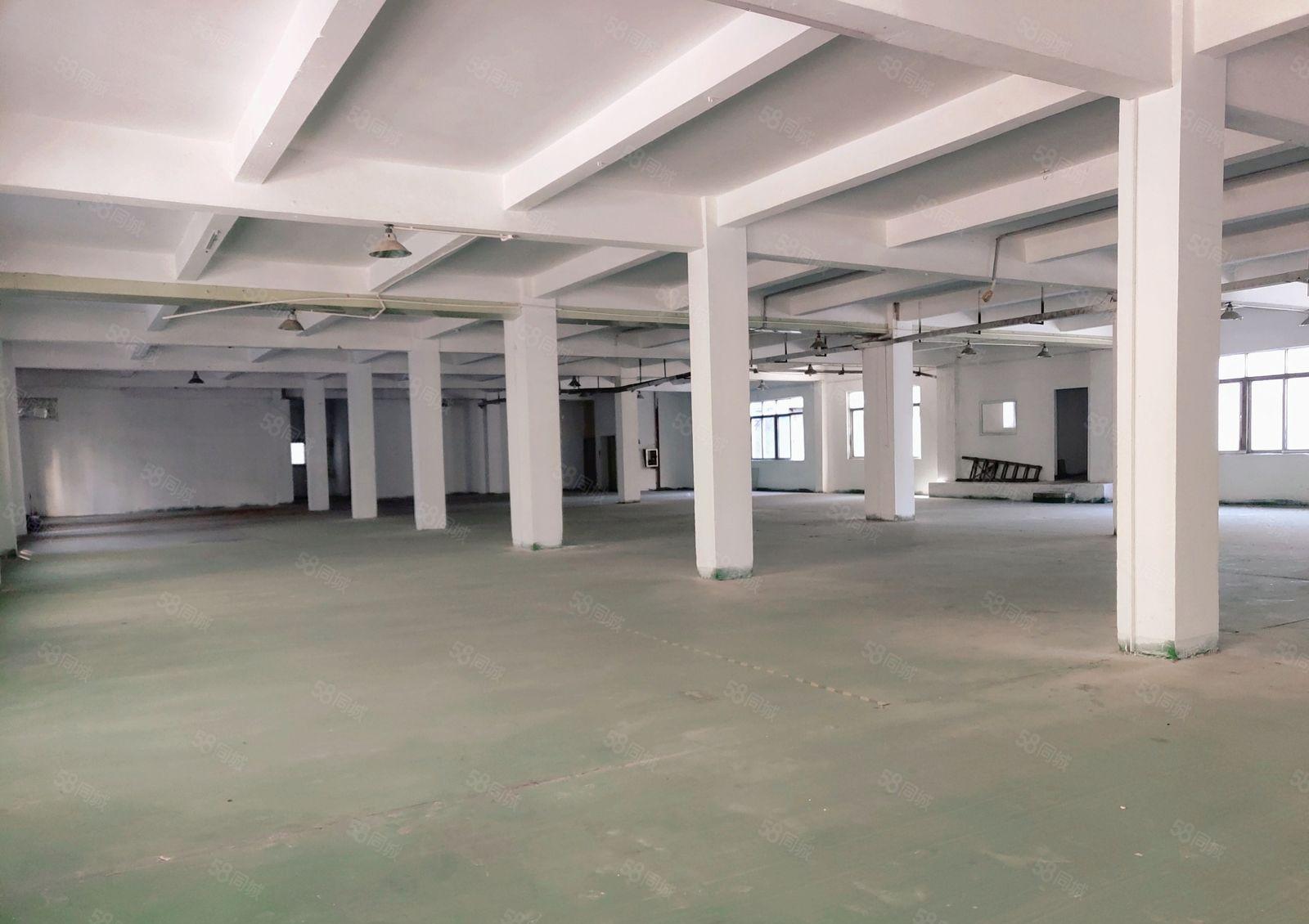 免两个月装修期！虎门独门独院全新翻新有宿舍可办环评可整租分租