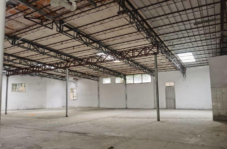 虎门大宁靠近长安上角民企路原房东钢构独院1680方，低价出租