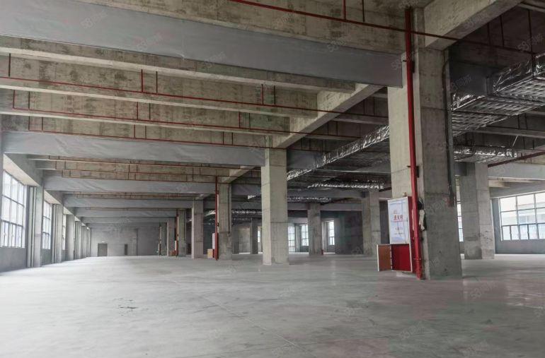 龙眼全新厂房出租一楼6米楼上5米带有卸货平台大小分租