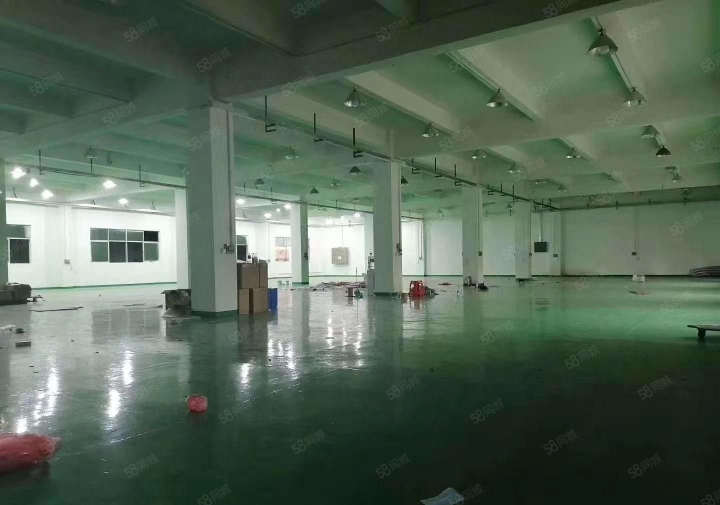 形象佳主线到车间！南栅五区新出三楼1500平米带装修厂房出租