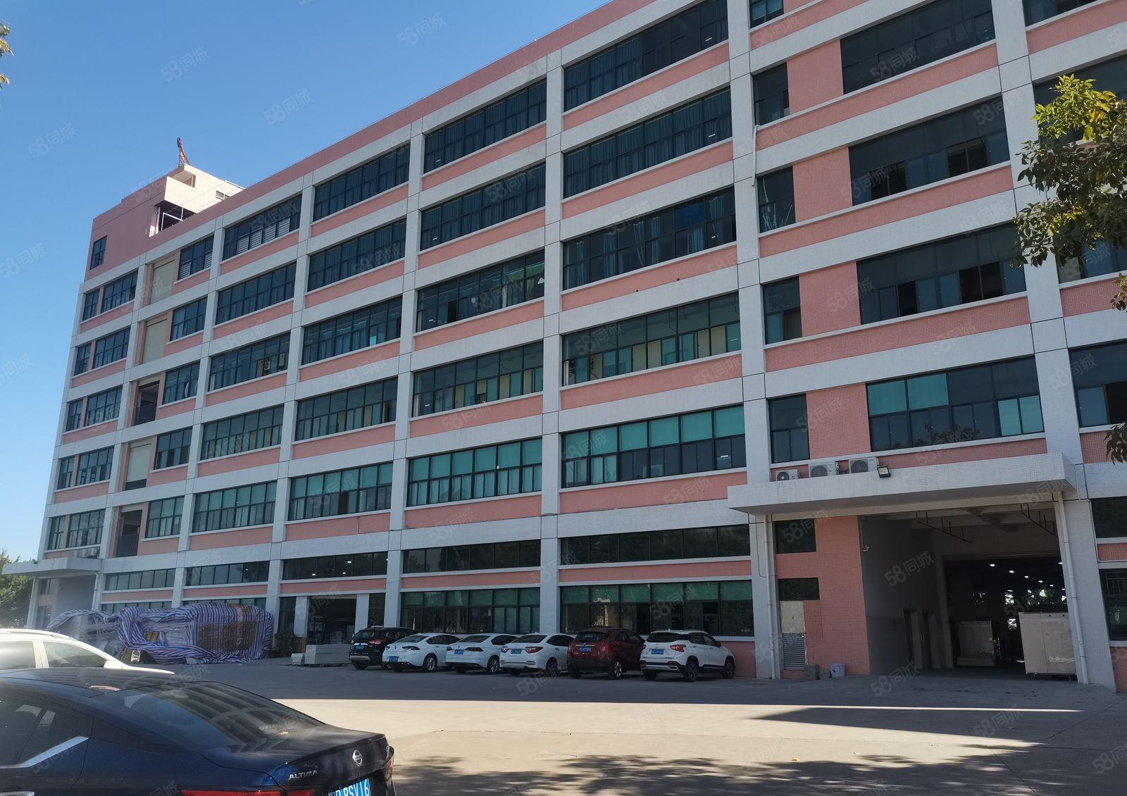 虎门镇树田社区原房东独院花园厂房二楼1000平分租 可办环坪