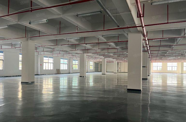 电商云仓行业福音花园式厂房领包入住