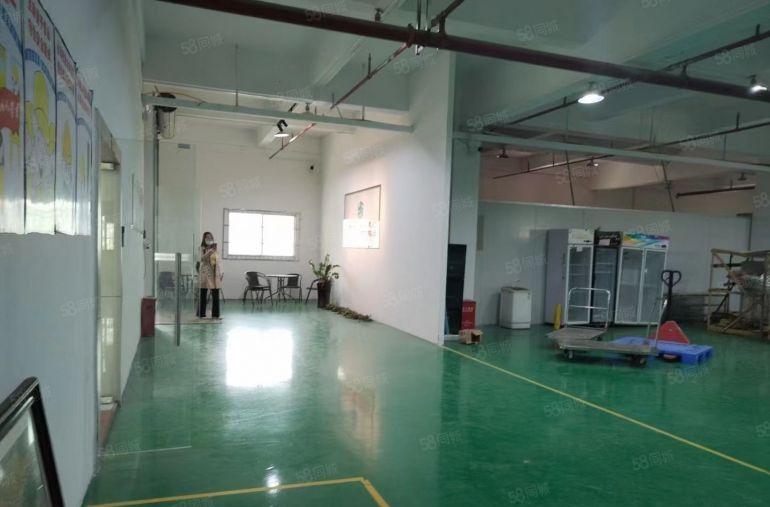 虎门1480平厂房9.9元带办公室，全新地坪漆！