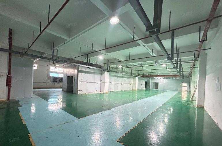 急租虎门居岐楼上厂房1300方带航吊水电齐全园区空地大