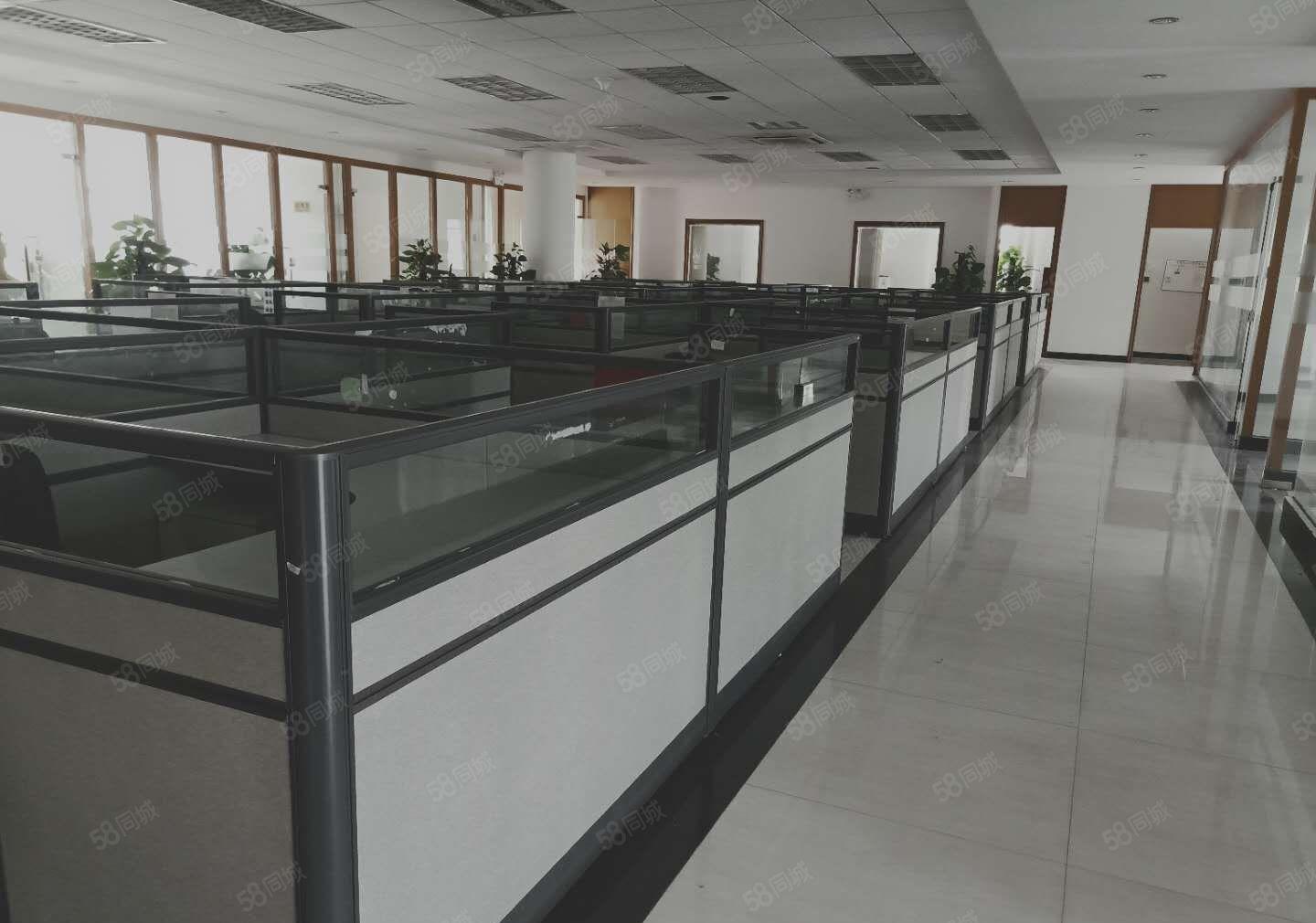 （新）虎门镇北栅新出一手原房东花园式上市公司形象独院厂房出租