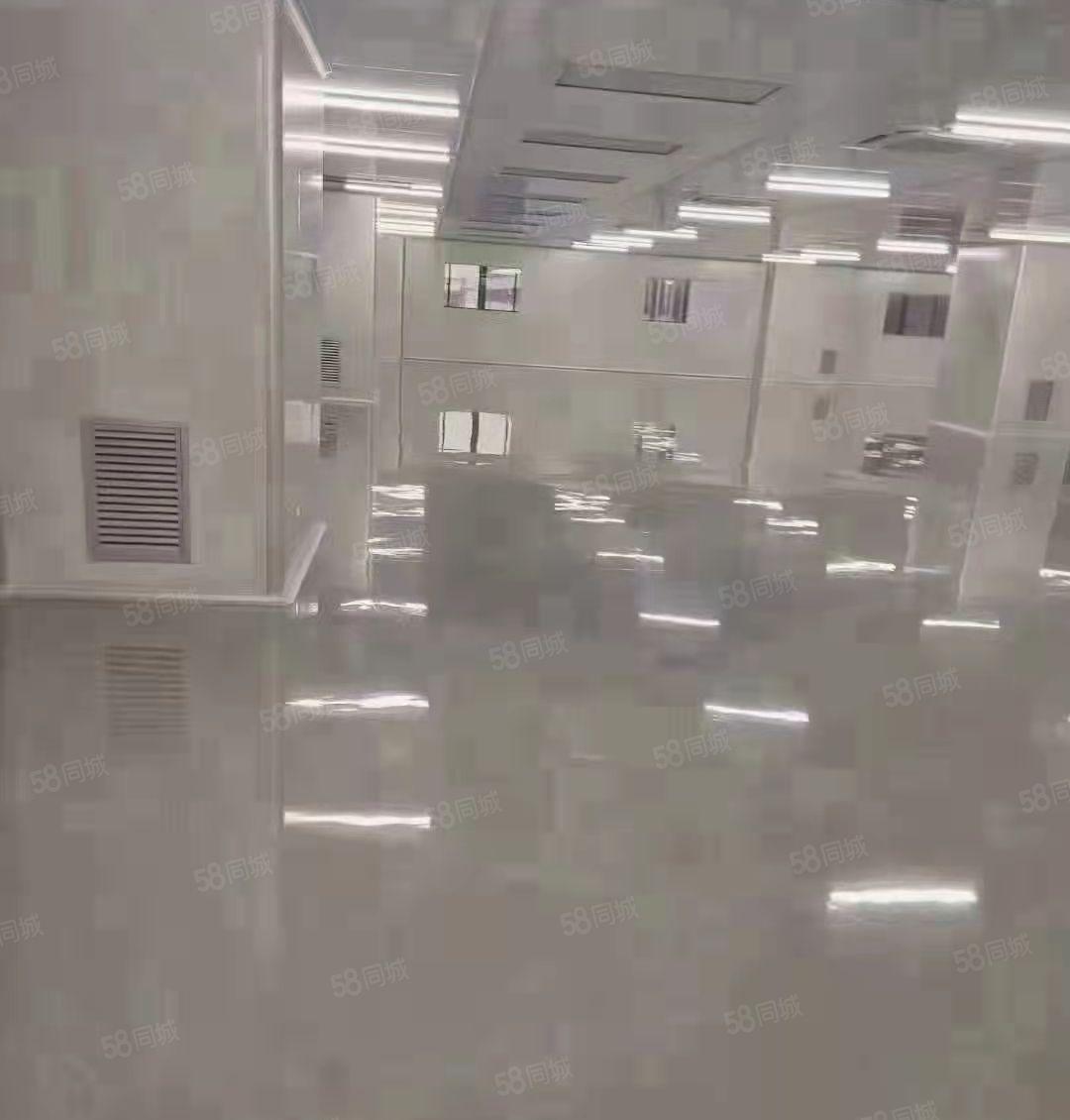 虎门独门独院18元万级无尘车间4500平方厂房出租