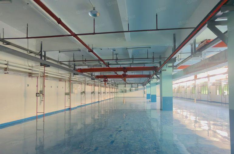 原房东现成装修全新地坪漆现成航吊空地大好停车临近沿江高速环莞