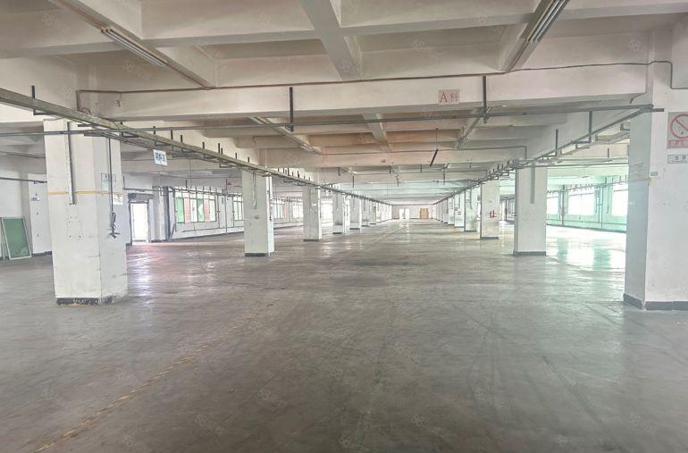 虎门镇赤岗厂房4530平方可以分2家二边都有独立一部2吨电梯