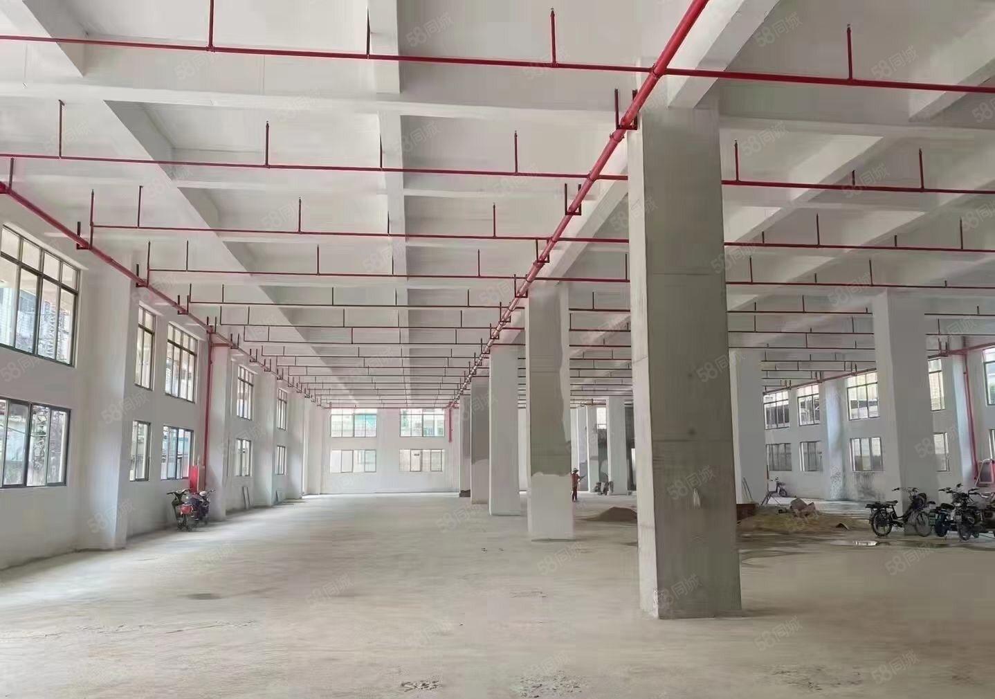 独门独院，两层经典，靓房