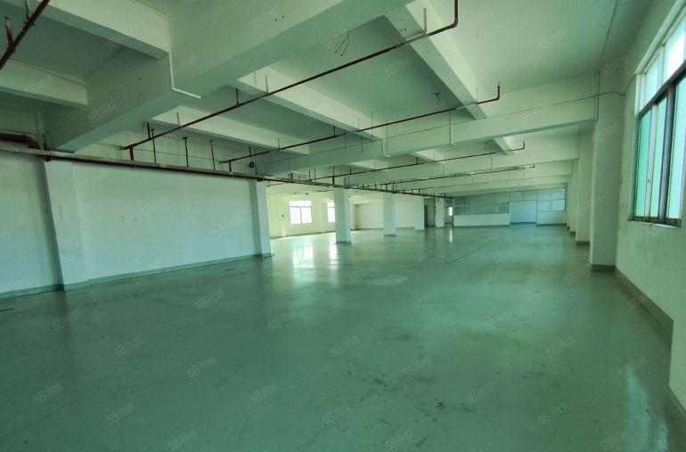 原房东独院三层厂房4000平出租，园区形象好空地大，水电齐全