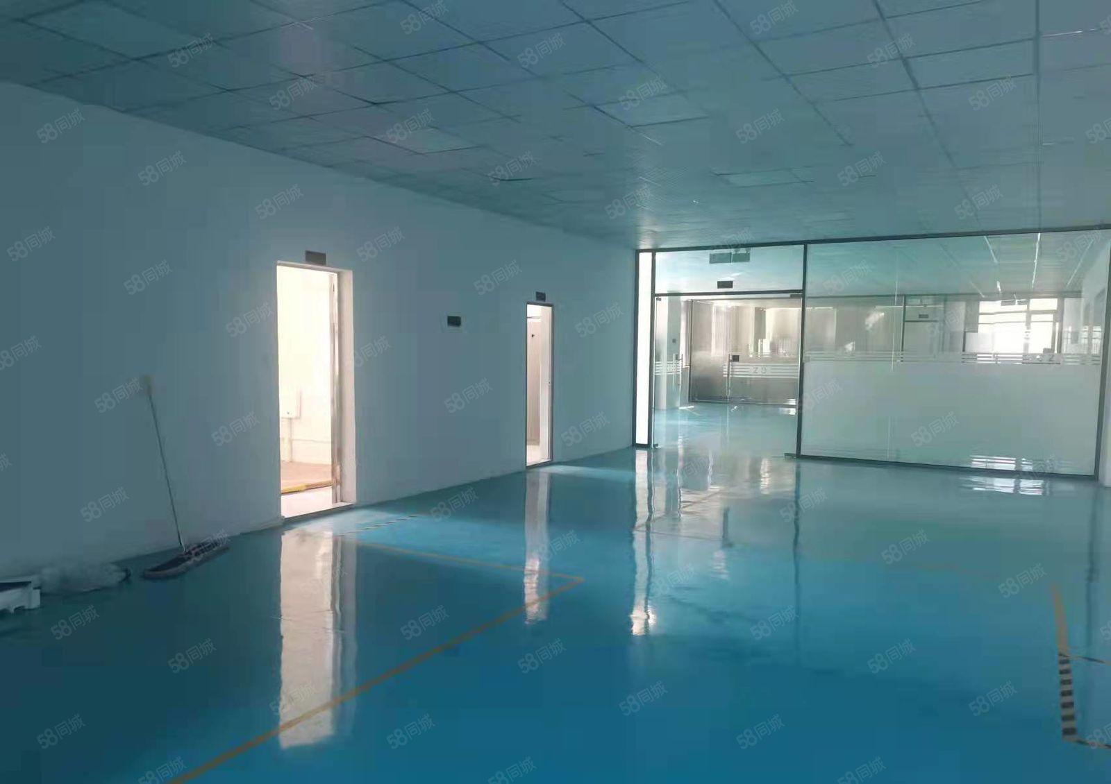 长安镇宵边社区原房东新空出楼上550平方厂房出租 杂费公摊少