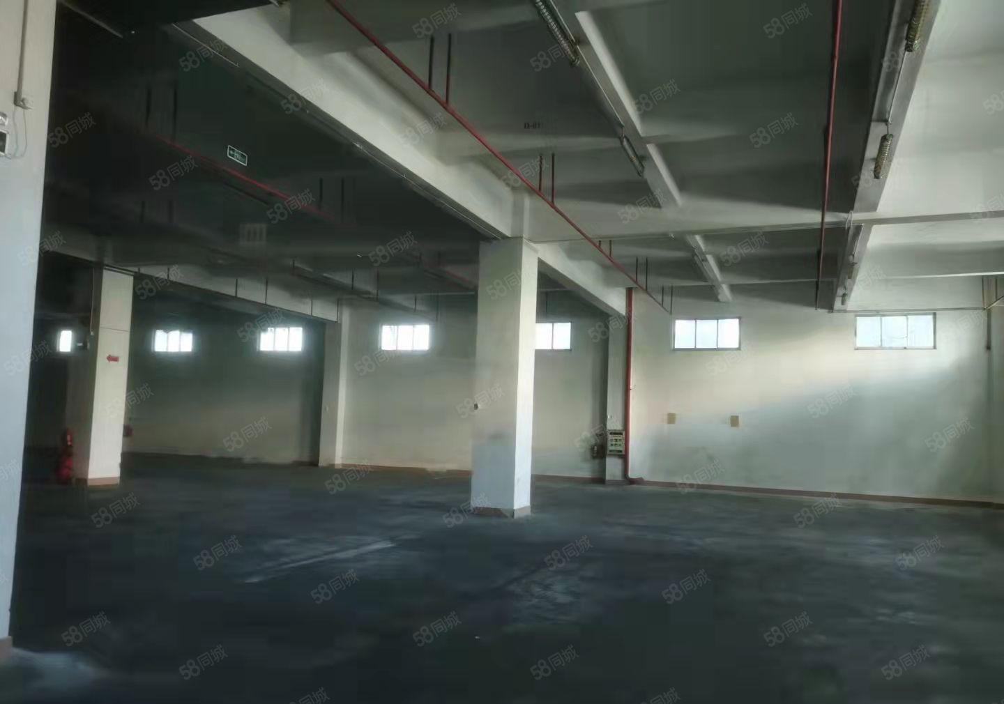 长安镇独院厂房出租，25000平，国有证厂房，可以办环评证