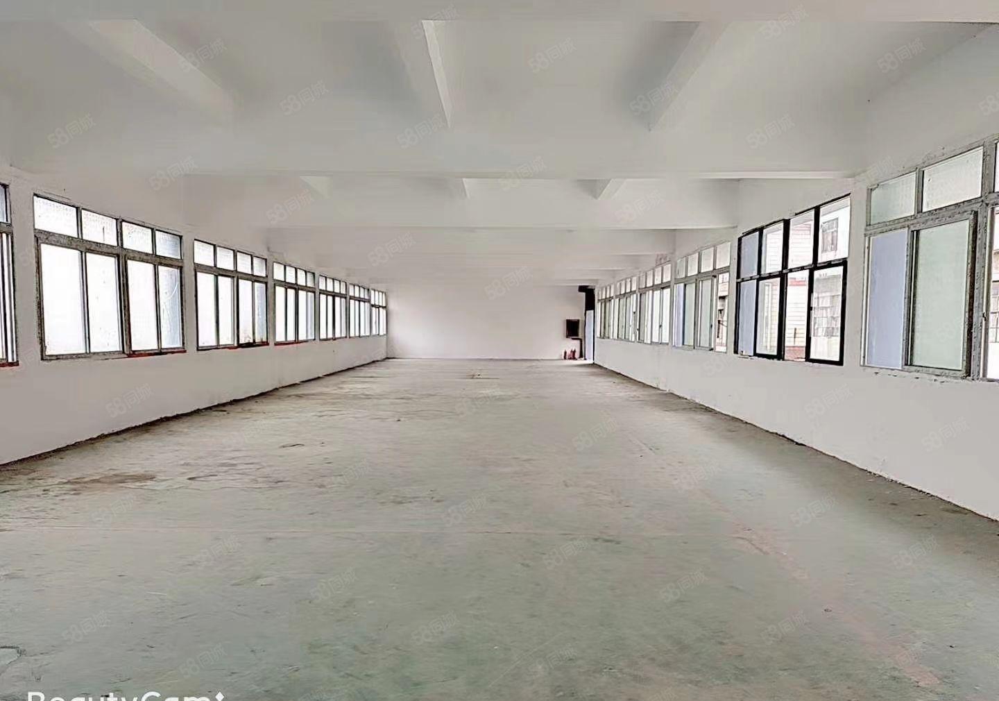 小独院2800平方，形象好