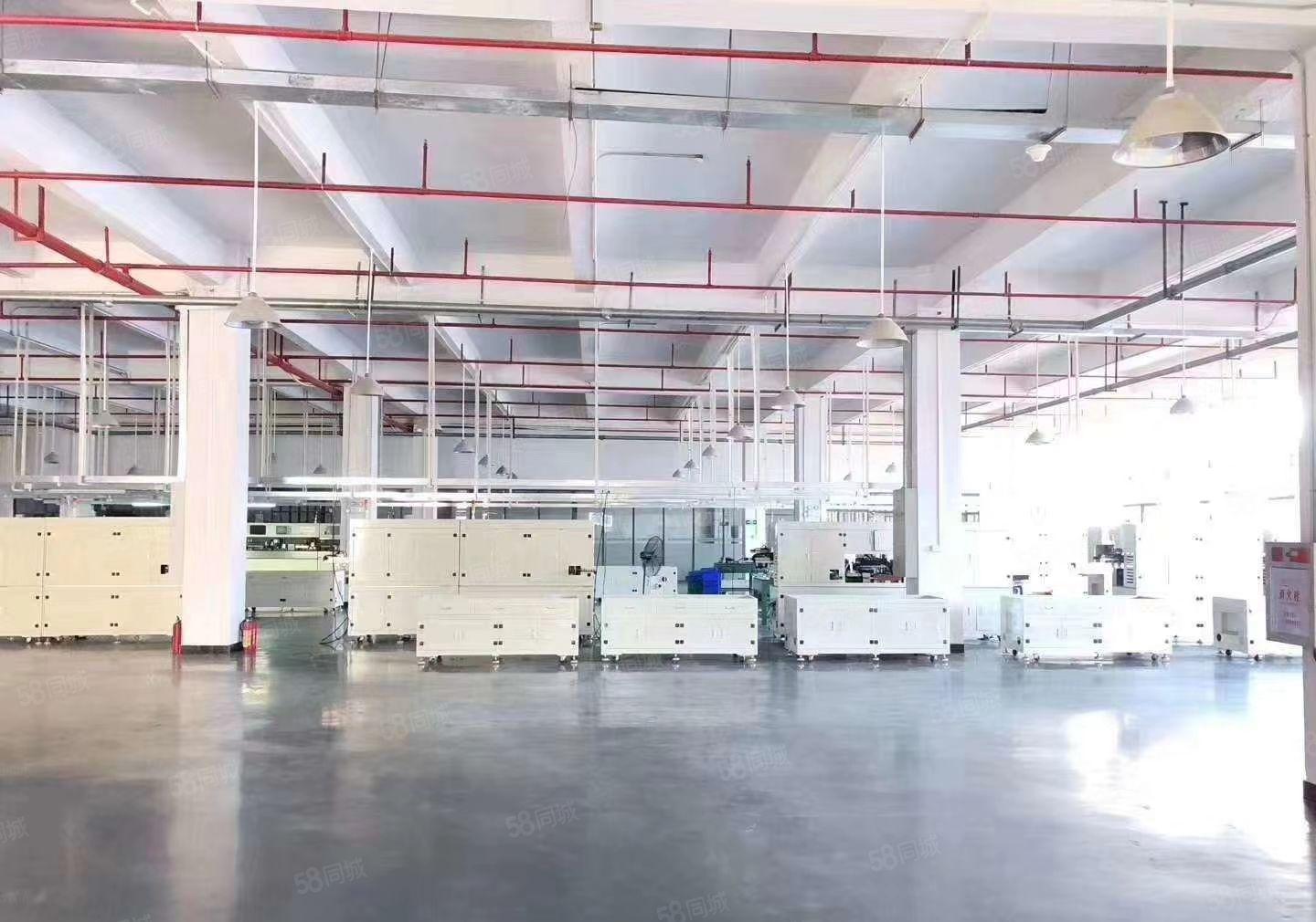 长安新出一二楼5200平方高端厂房，豪华装修，低价招租