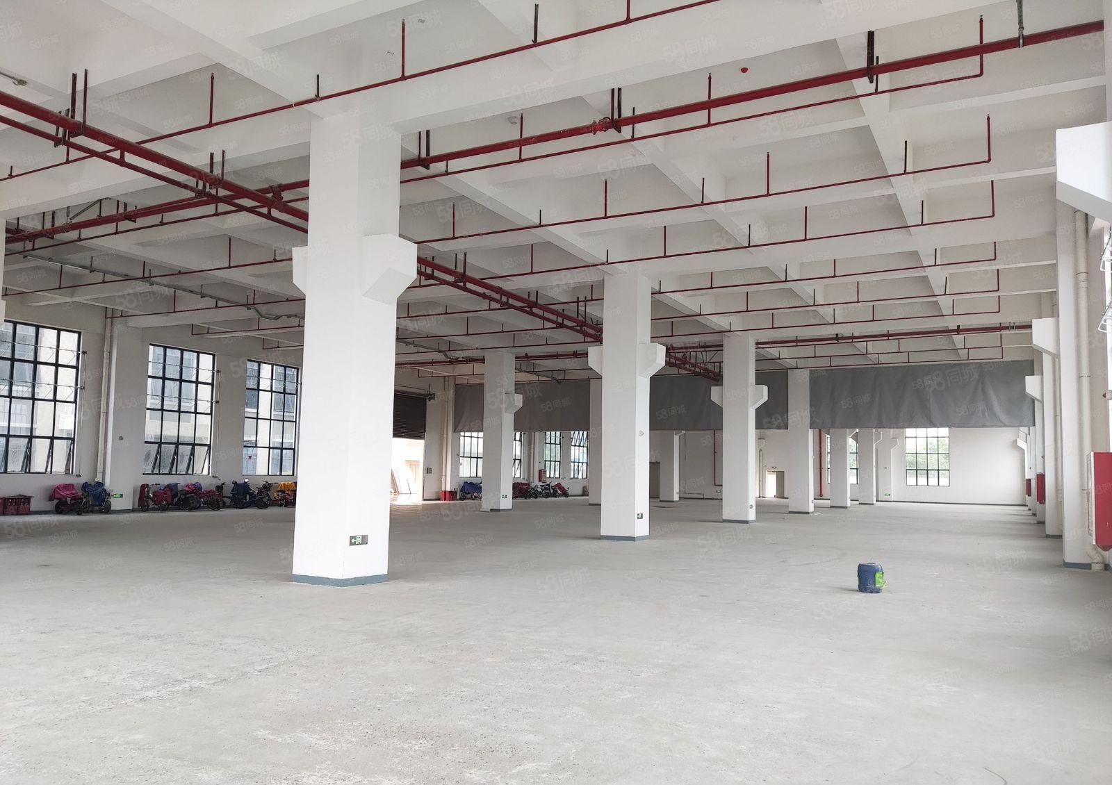 厂房出租 长安镇主干道旁全新一楼2100平带牛角适合各种行业