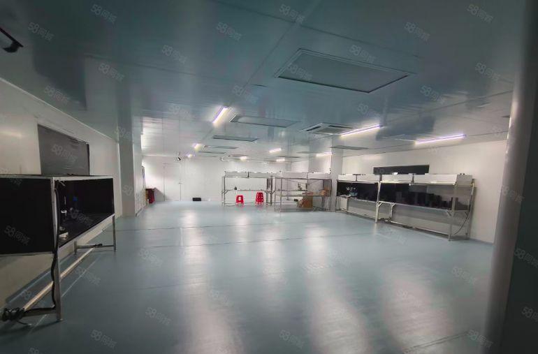 长安靠深圳新空无尘车间1450平出租，现成装修水电口罩手机屏