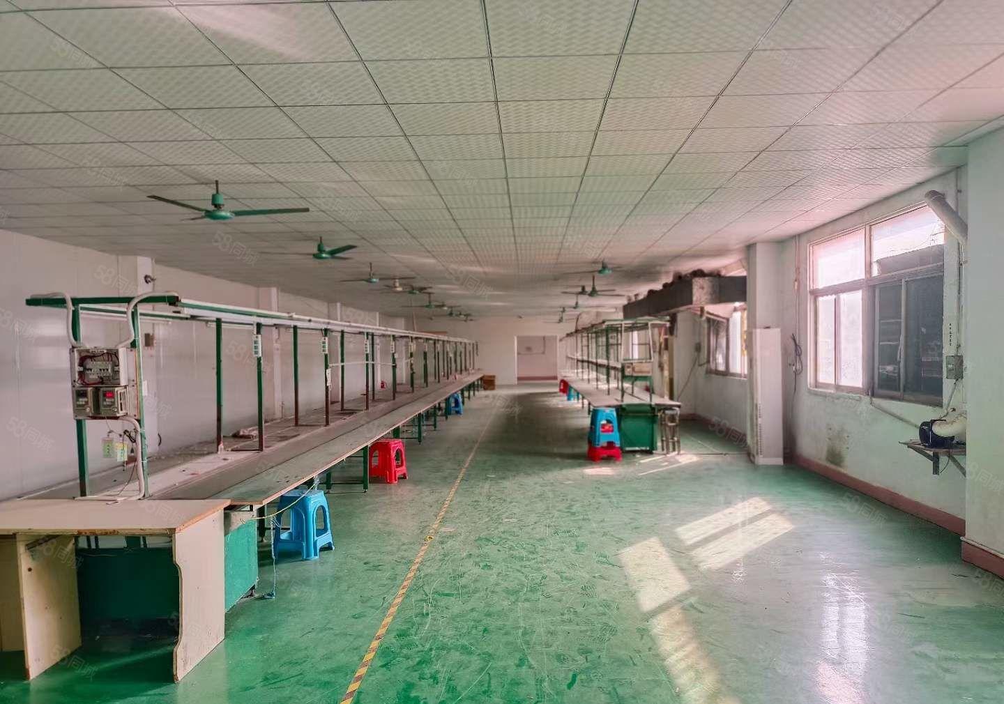 长安沙头新出三楼1000平洁净车间厂房出租 可分租