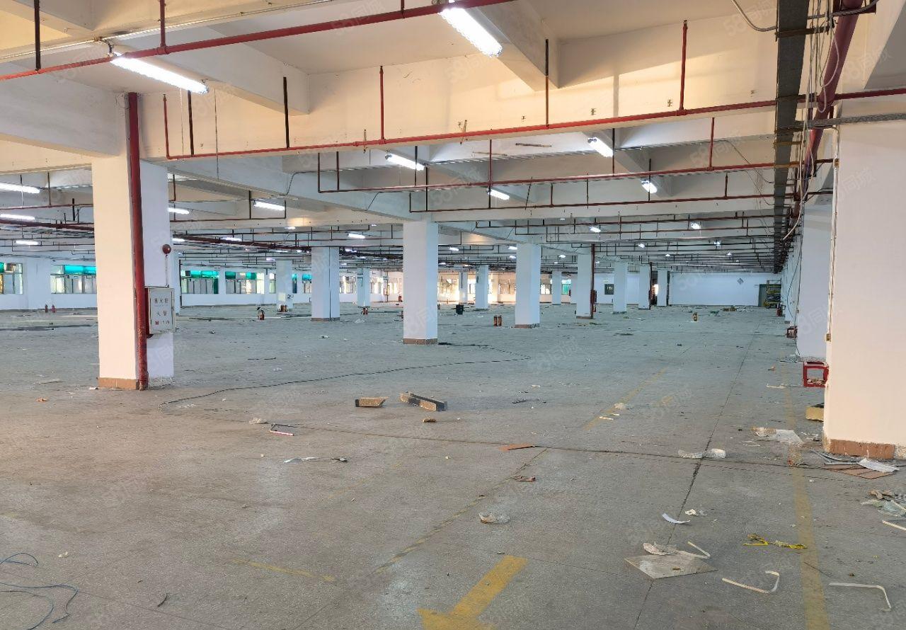 长安红本上市公司形象15F可分租