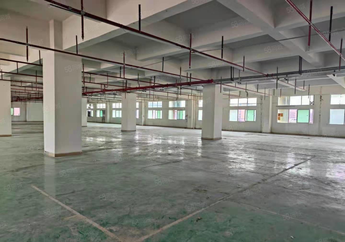 街口新出三楼厂房2200平形象好空地大车位充足好招工