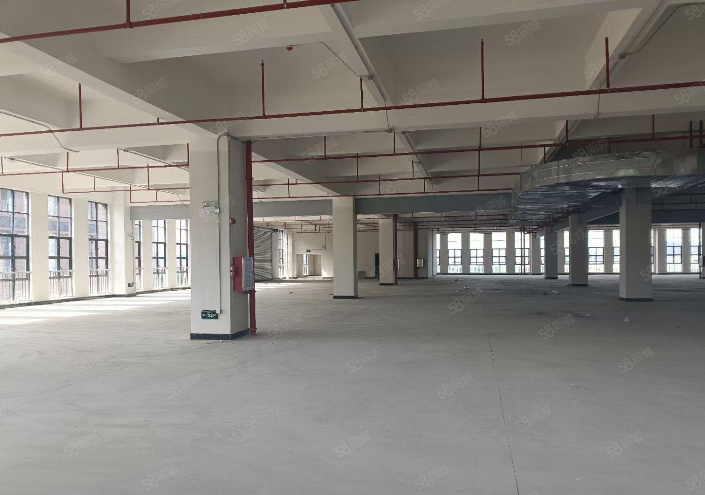 新出38888平全新红本厂房大小分租形象好空地大