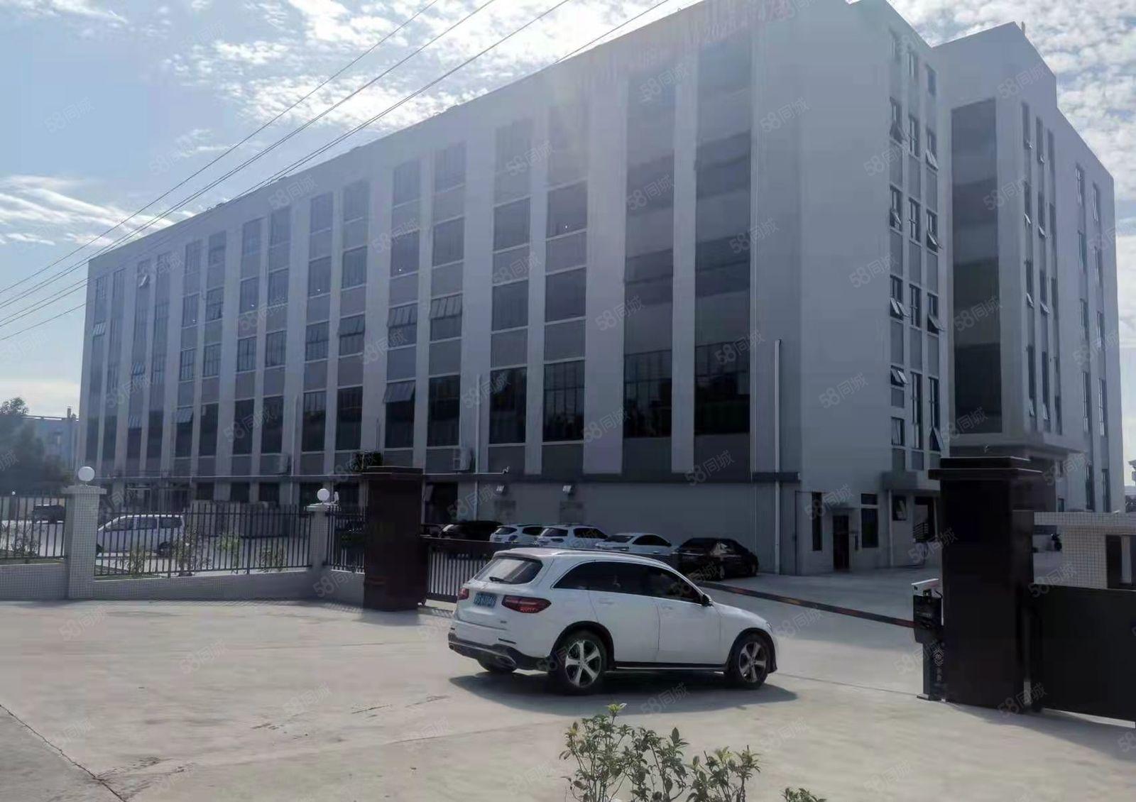长安临近厚街新出独门独院标准厂房出租，形象地理位置优越