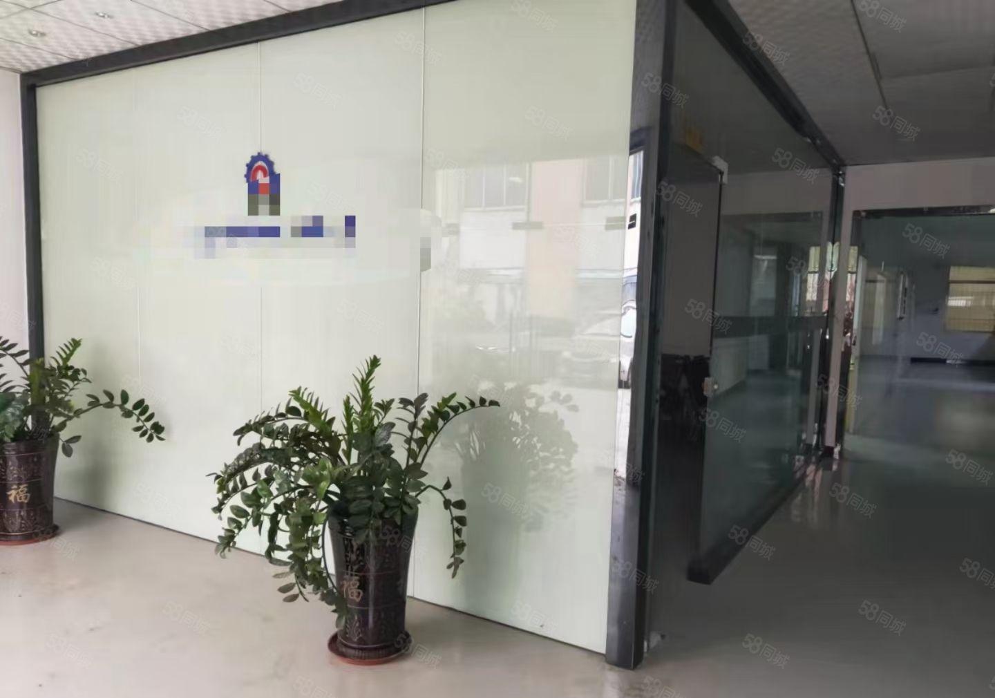 上沙新出标准一楼，精装修520平方厂房出租