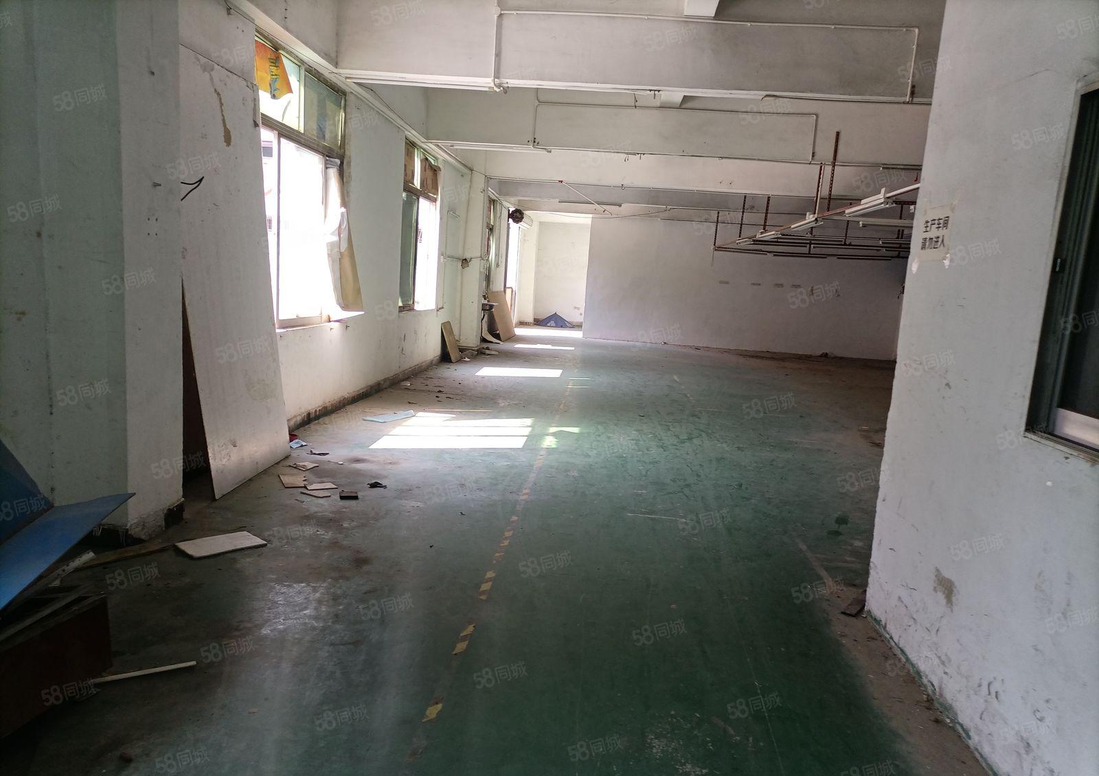 厦岗原房东楼上300平方厂房出租