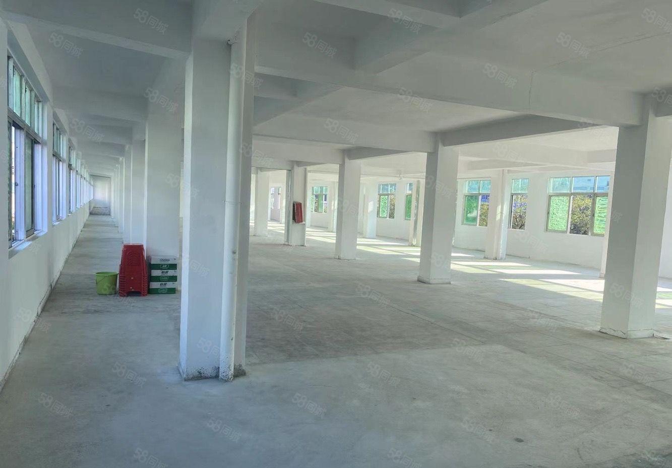 长安厦边358旁 全新厂房出租 带装修 即租即生产价格可面谈