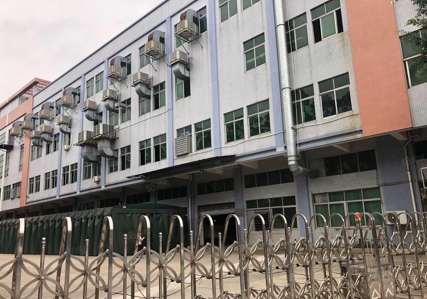 长安镇工业园区独栋标准厂房出租8000平米主干道边交通便利