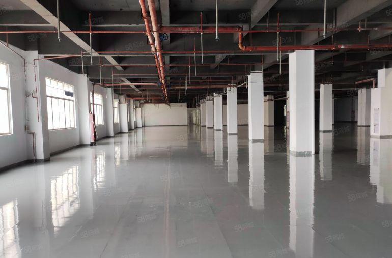 长安4560平全新地坪漆厂房业主直租，可分租价格便宜