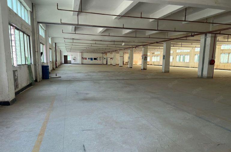 本地房东带红本独院3层带注塑环评水电过户