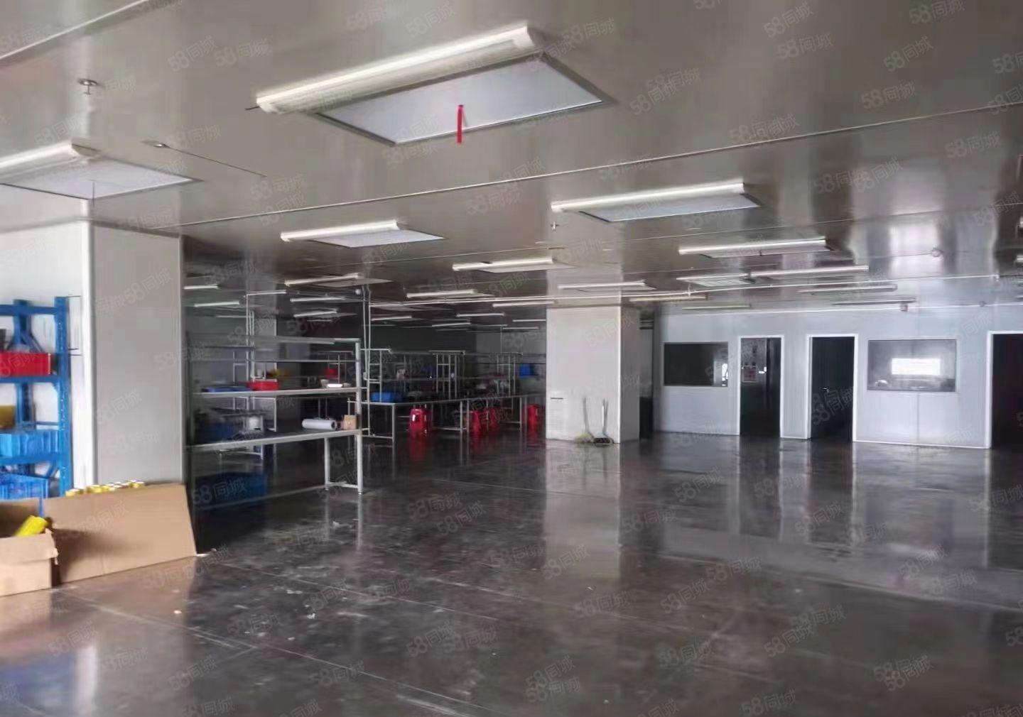 长安沙头社区上现无尘车间1300平方厂房出租