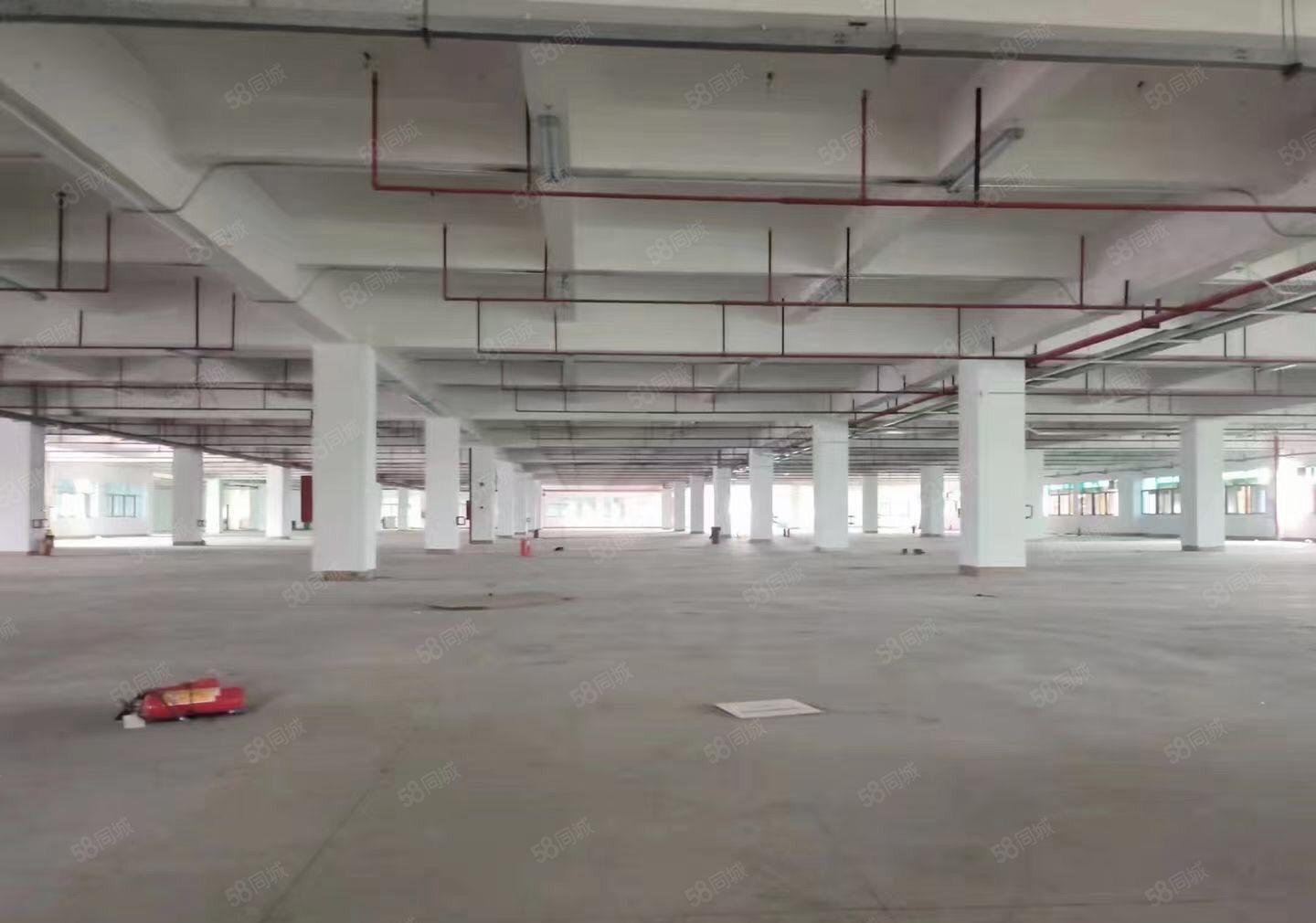 长安原房东红本独院出租大小可分租