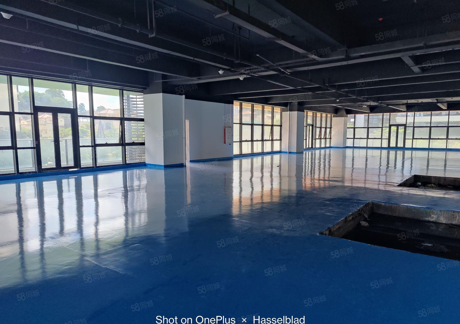 500起租长安临深高新园区全新厂房出租可生产可办公近高速路口