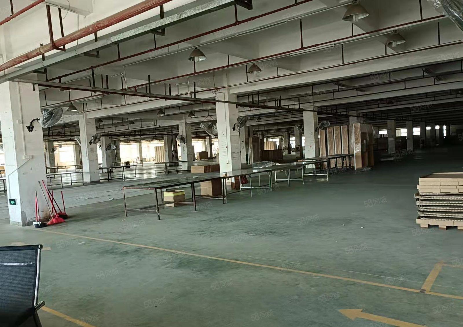 急租，低租金 长安镇锦厦新出楼上厂房11000平出租 可分租