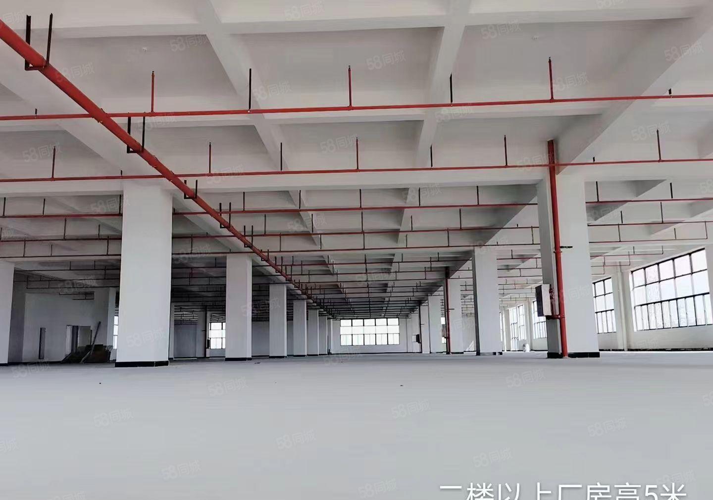 长安乌沙新出原房东独院标准厂房可分租形象好