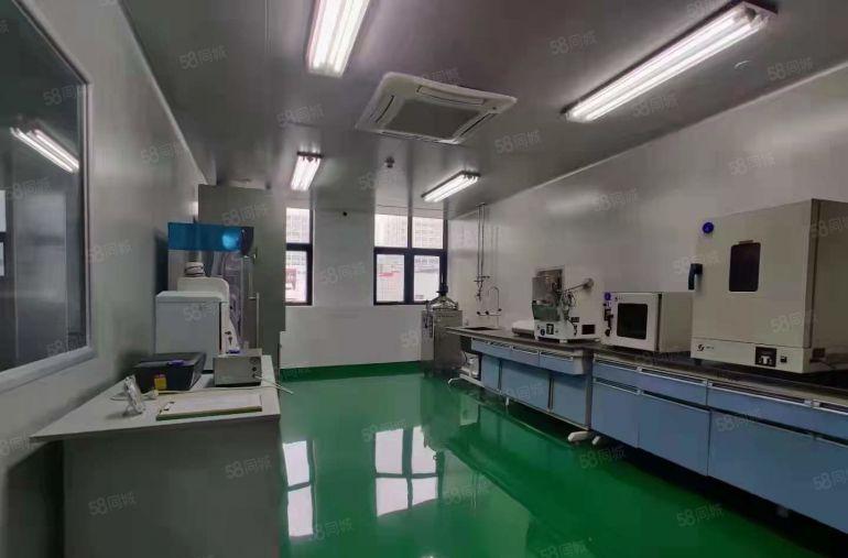 长安镇锦厦毗邻松岗旁2楼2000平无尘车间豪华精装修厂房出租