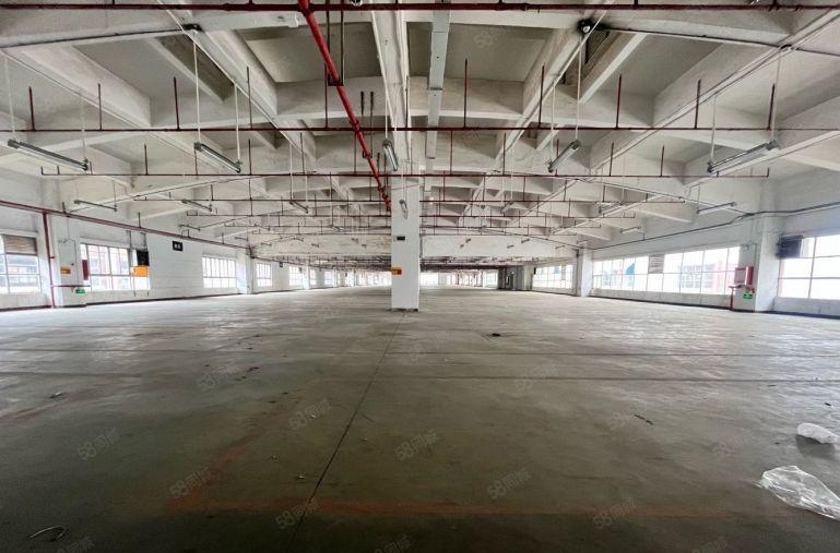 长安沙头独院5000平厂房出租 可整租要分租 可做仓库