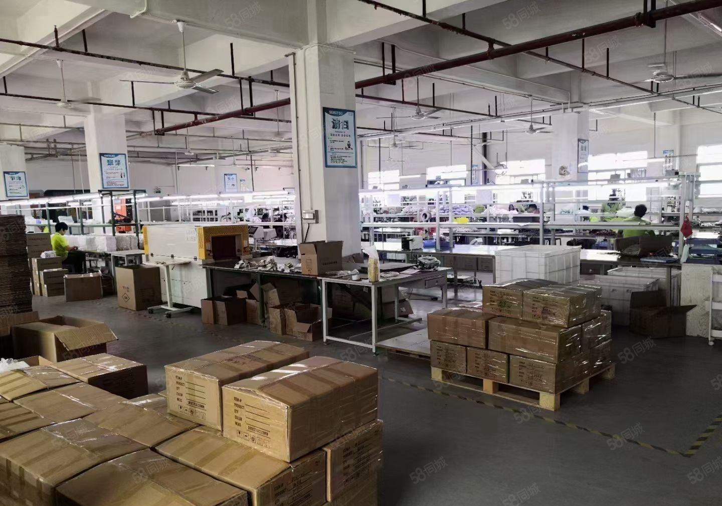 独门独院标准二层厂房出租