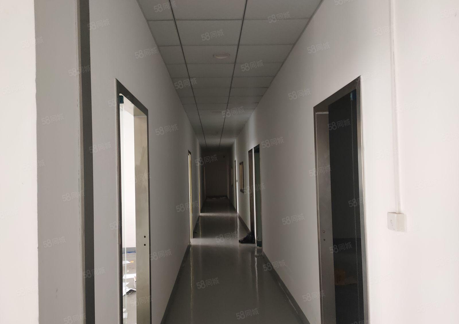 年底3楼厂房 底价出租  精装修 近沿江高速 入驻可生产