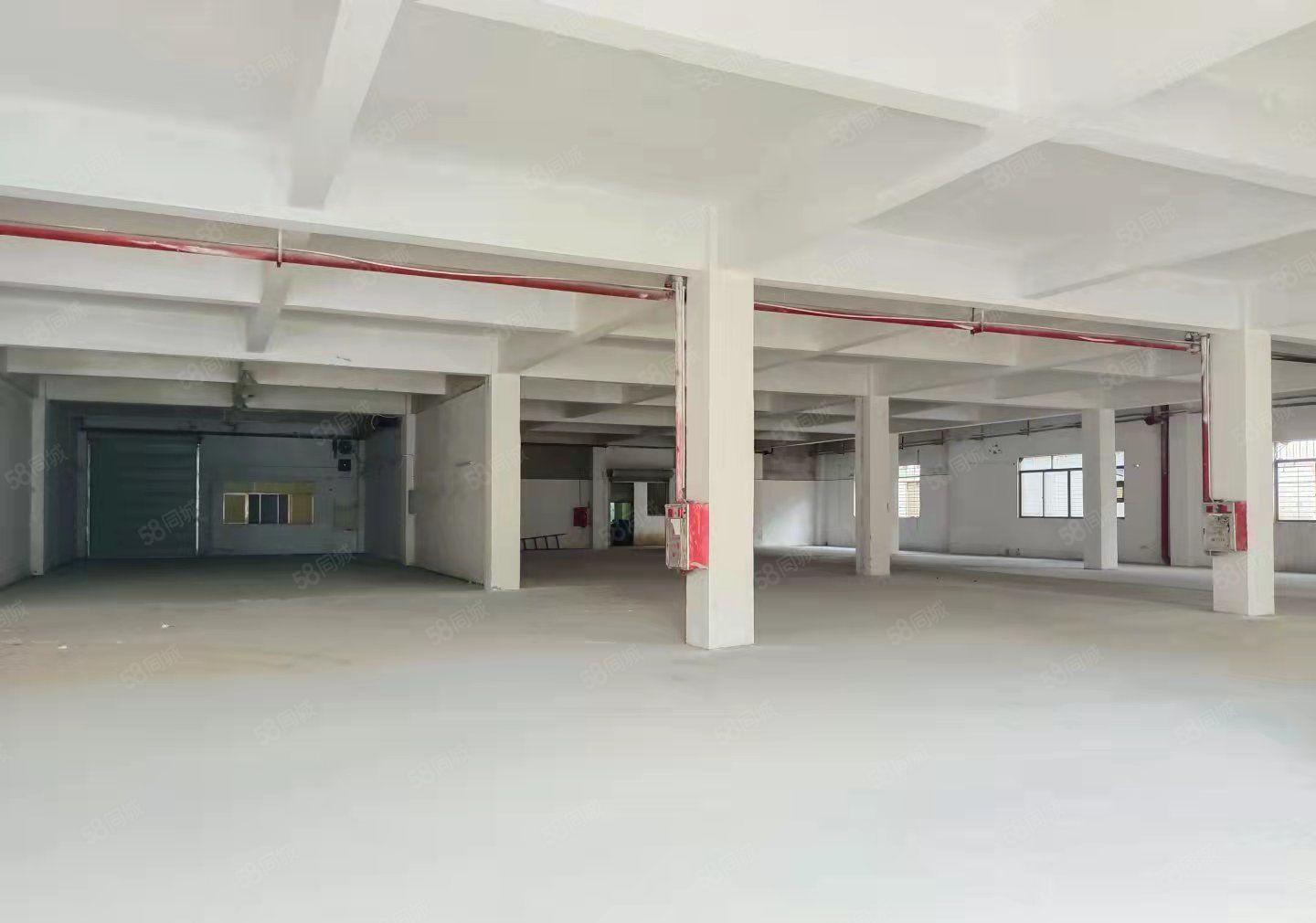 靓盘出租长安沙头太安路附近产业园园14每层1000平