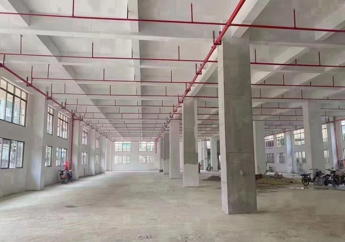 独门独院，两层经典，靓房