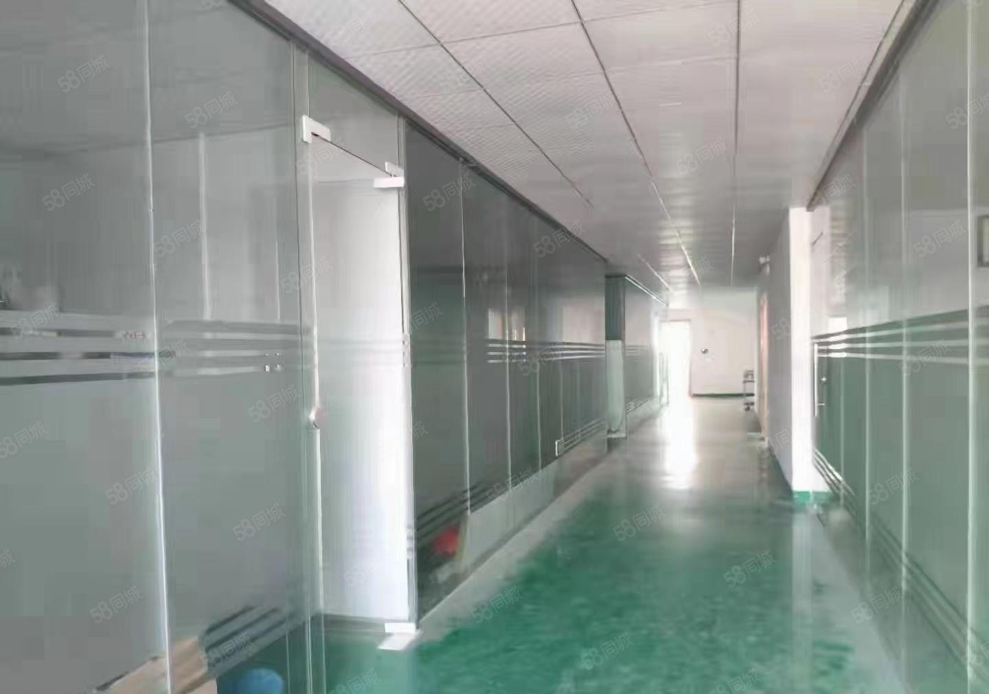 长安镇街口新出厂房仓库出租楼上1130平带装修大小可分租