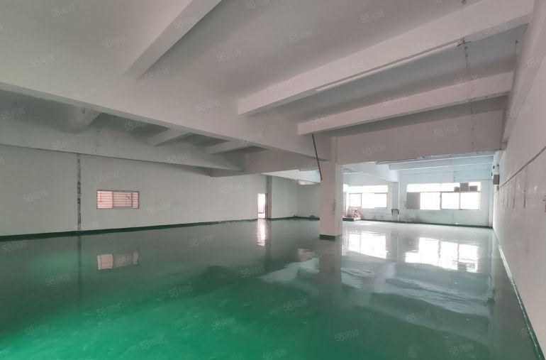 长安增田三楼550平带办公室全新地平漆工业厂房出租